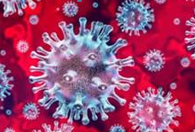 coronavirus-2.png