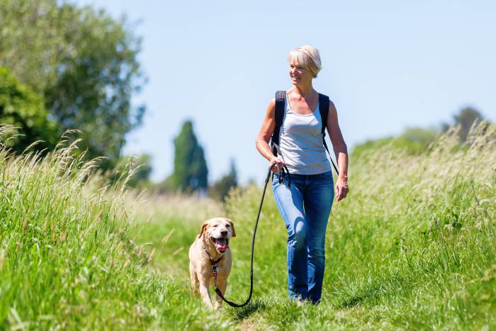 wandelende-vrouw-met-hond-klein-bron-shutterstock.jpg
