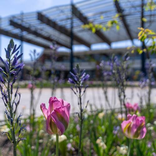 Meedenkadvies voor nog betere samenwerking met huisartsen